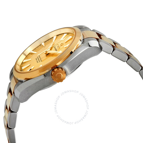 Omega Aqua Terra Master Co-Axial Stainless Steel & 18kt Yellow Gold Men’s Watch 231.20.39.21.08.001