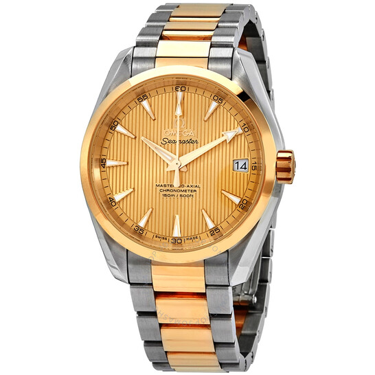 Omega Aqua Terra Master Co-Axial Stainless Steel & 18kt Yellow Gold Men’s Watch 231.20.39.21.08.001