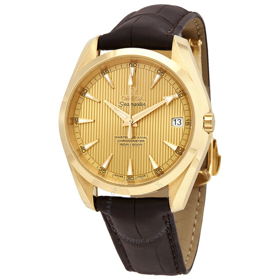 Omega Seamaster Aqua Terra Automatic 18kt Yellow Gold Men’s Watch 231.53.39.21.08.001