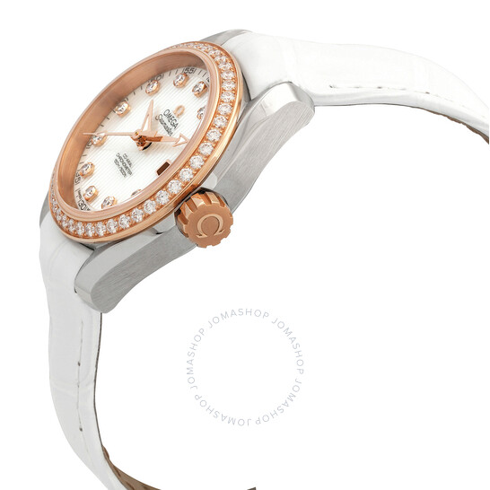 Omega Seamaster Aqua Terra Diamond Ladies Watch 231.28.30.20.55.001