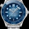 Omega Seamaster 210.32.42.20.03.002 Diver 300m 42mm