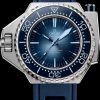 Omega Seamaster 215.30.46.21.03.001 Planet Ocean 6000M Watch 45.5mm