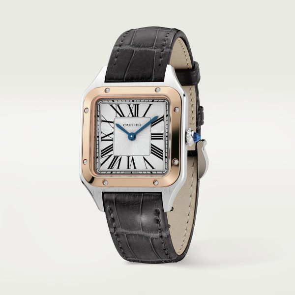 CARTIER Santos-Dumont Watch CRW2SA0012