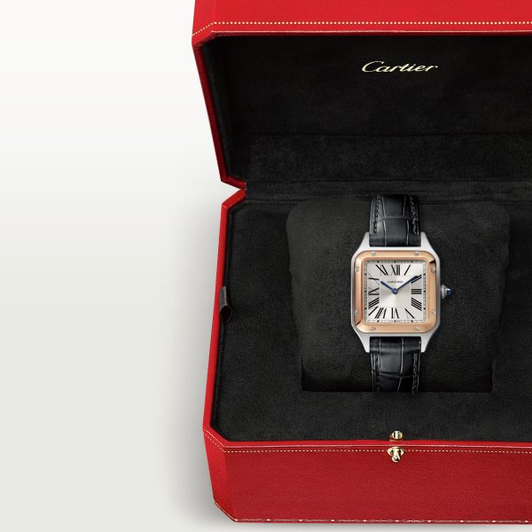 CARTIER Santos-Dumont Watch CRW2SA0012