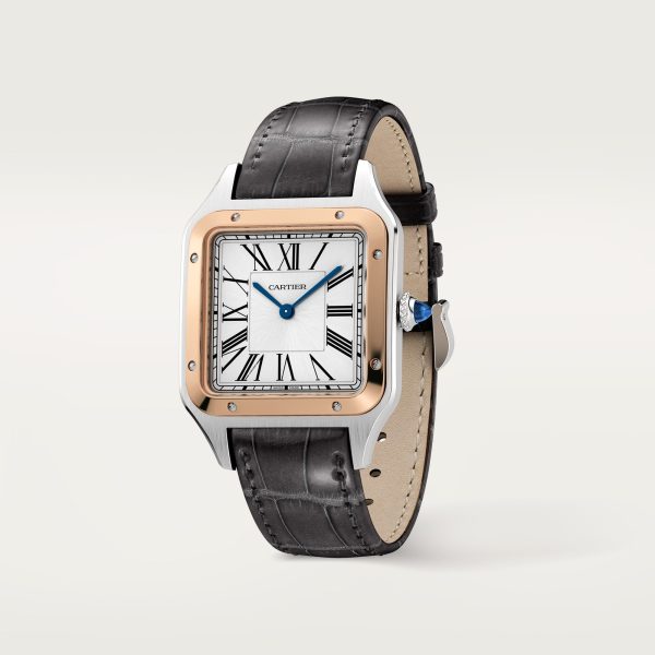 Cartier Santos Dumont 43.5mm CRW2SA0011 Watch CRW2SA0011