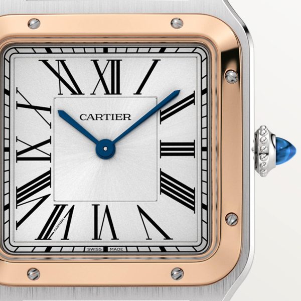 Cartier Santos Dumont 43.5mm CRW2SA0011 Watch CRW2SA0011