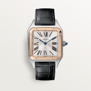 Cartier Santos Dumont 43.5mm CRW2SA0011 Watch CRW2SA0011