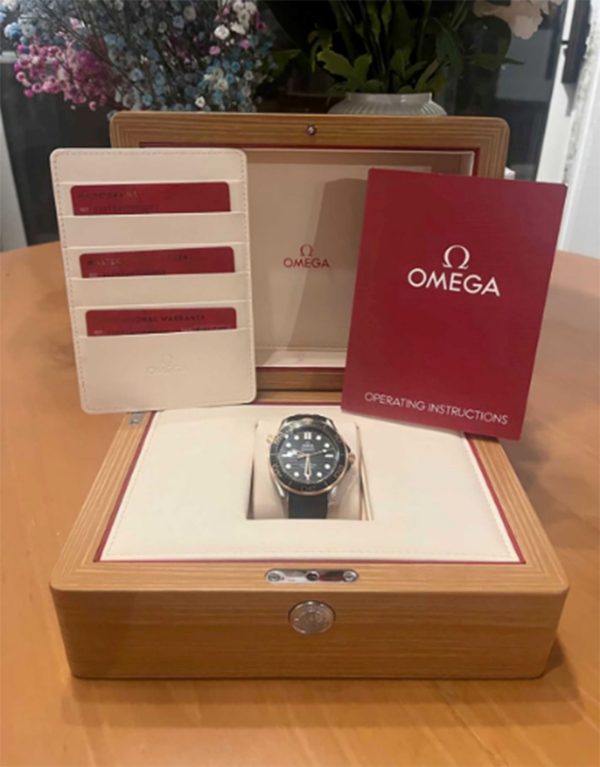 Omega Seamaster Automatic Steel & 18kt Sedna Gold Black Dial Men’s Watch 210.22.42.20.01.02