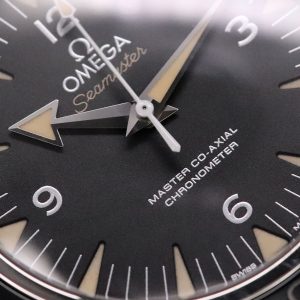 Omega 233.30.41.21.01.001 Seamaster 300 Master Co-Axial Watch