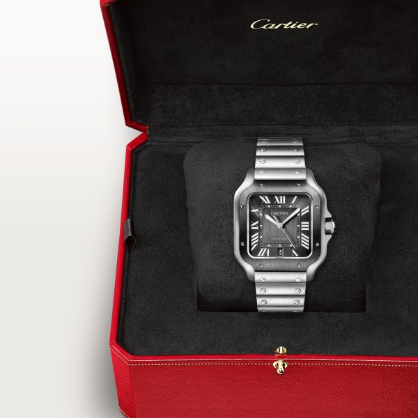 Cartier Santos De Cartier Watch CRWSSA0037