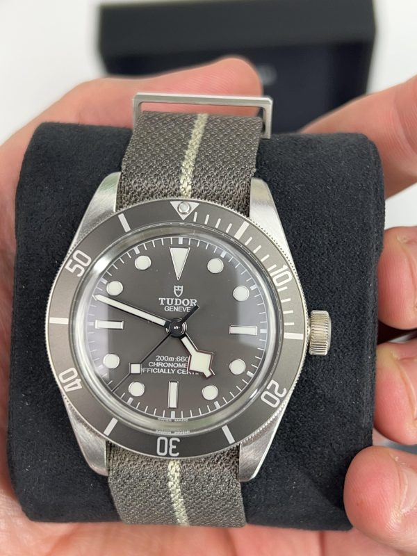 Tudor Black Bay 58 Watch M79010SG-0002